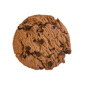 gluten free chocolate chip fudge cookie single